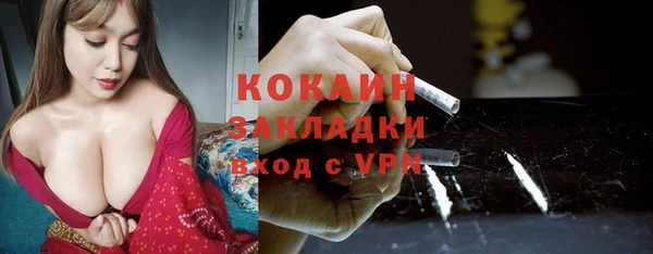 хмурый Лиски