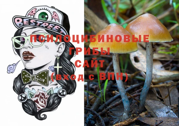 хмурый Лиски