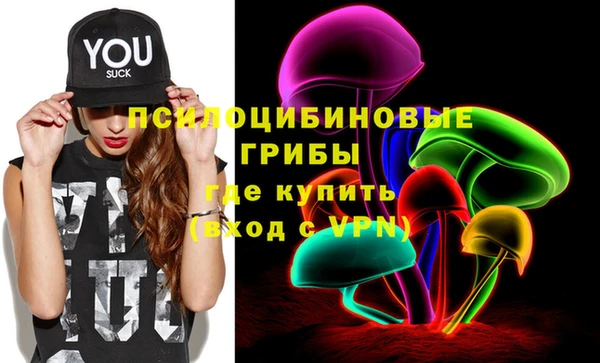 хмурый Лиски