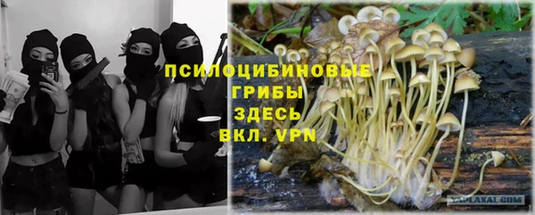 хмурый Лиски