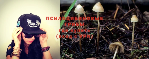 хмурый Лиски