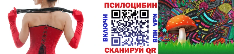 Купить где Стародуб Псилоцибиновые грибы Psilocybe